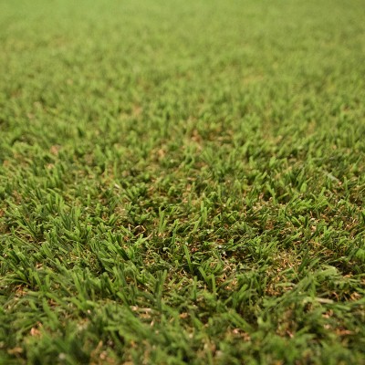 5' x 7' Multi-Use Artificial Grass   553945456